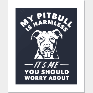 My Pitbull Is Harmless It's Me You Should Worry About T Shirt Posters and Art